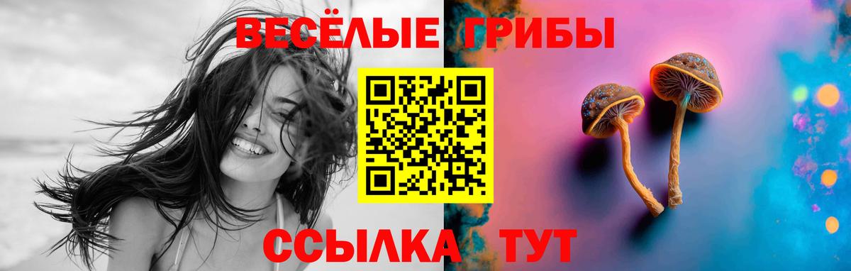 Галлюциногенные грибы ЛСД Кудрово